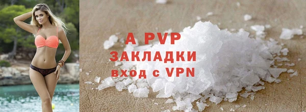 СК Бронницы