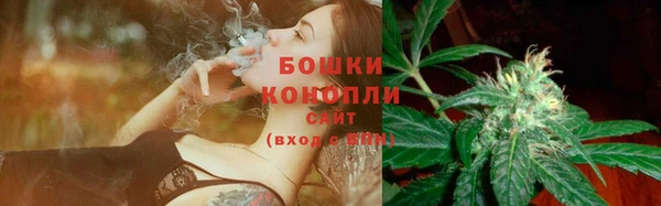 индика Бугульма