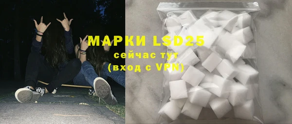 индика Бугульма