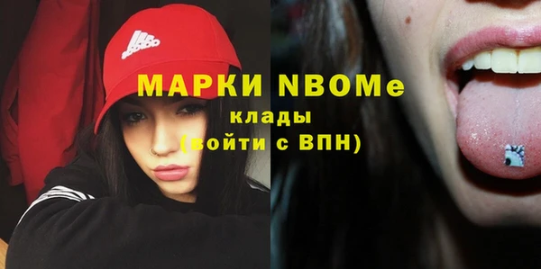 индика Бугульма