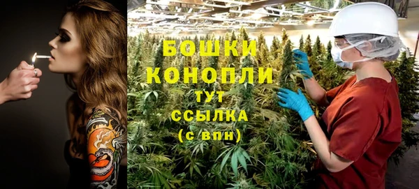 СК Бронницы