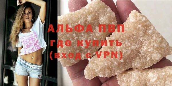 индика Бугульма