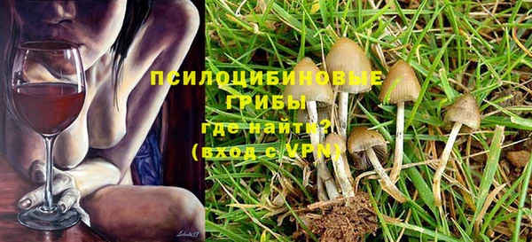 СК Бронницы