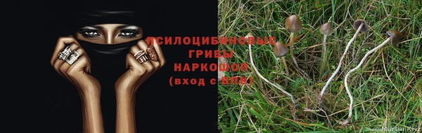 СК Бронницы
