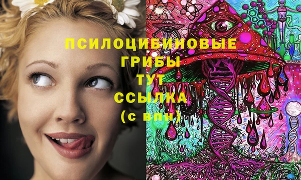 меф Бородино