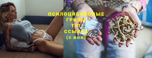 СК Бронницы